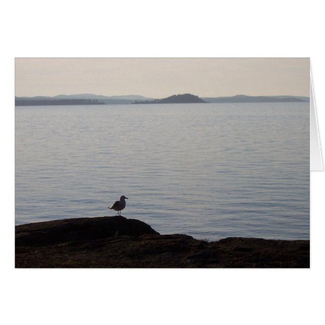 Sueños de gaviota (Anverso (Horizontal))