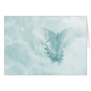 Sueños de la mariposa