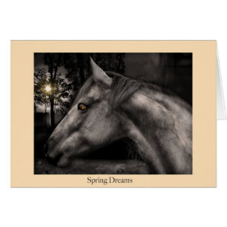 Sueños de la primavera