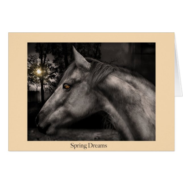 Sueños de la primavera (Anverso (Horizontal))