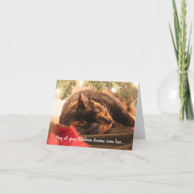 Sueños de Navidad Gato Calico Durmiendo, Personali (Anverso)