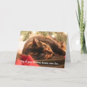 Sueños de Navidad Gato Calico Durmiendo, Personali