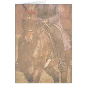 Sueños de Saddlebred