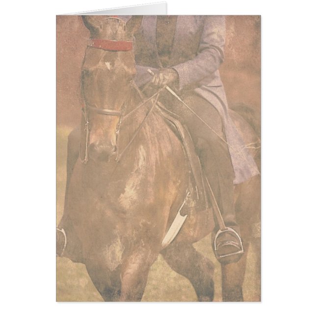 Sueños de Saddlebred (Frente)