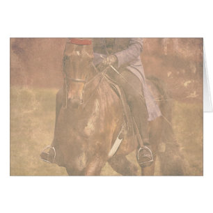 Sueños de Saddlebred
