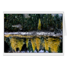 Sueños de un joven Tamarack