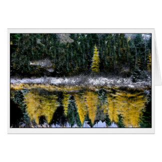 Sueños de un joven Tamarack