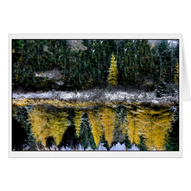 Sueños de un joven Tamarack (Anverso (Horizontal))