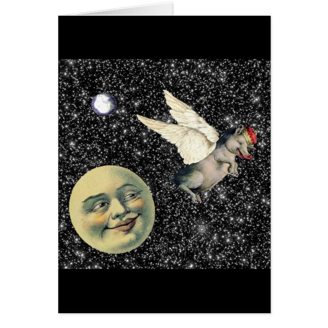 Sueños del cerdo (Frente)