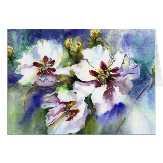 sueños en blanco (Anverso (Horizontal))