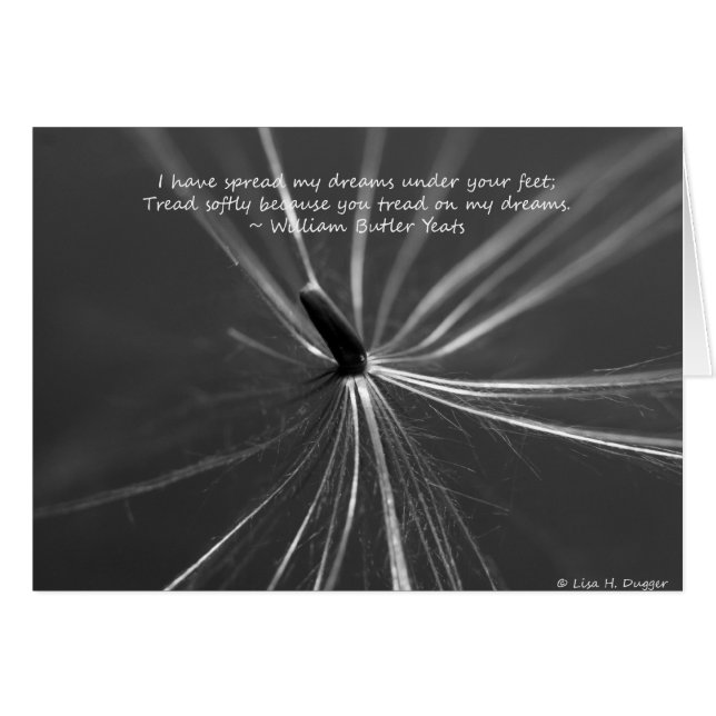 Sueños frágiles Underfoot (Anverso (Horizontal))