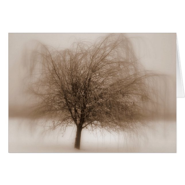 Sueños místicos (Anverso (Horizontal))