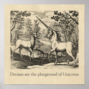 Sueños Unicornios Cita Arte Medieval