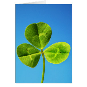 suerte irlandesa