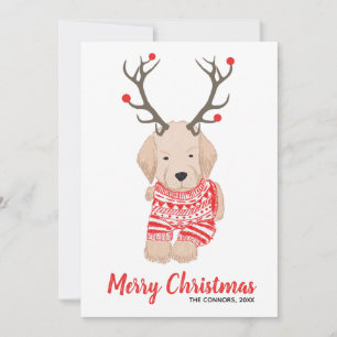 Suéter de Navidad Cachorro Retriever Dorado Cuerno