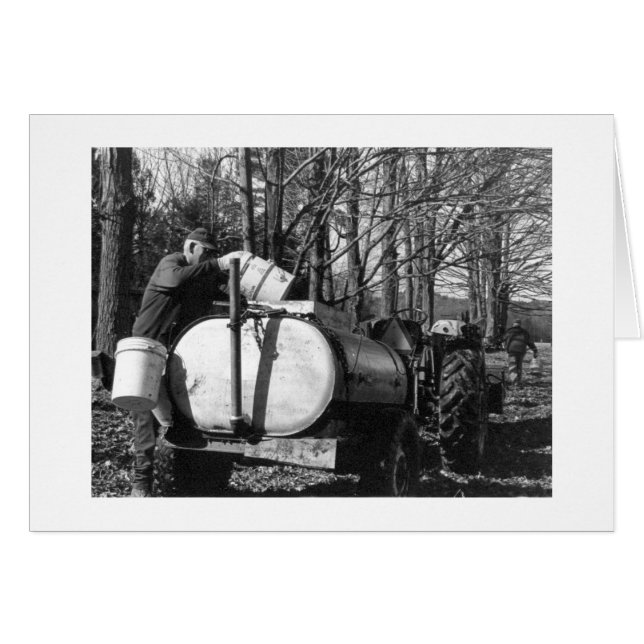 Sugaring Vermont (Anverso (Horizontal))