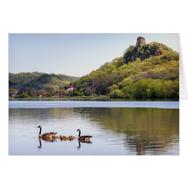 Sugarloaf Geese (Anverso (Horizontal))