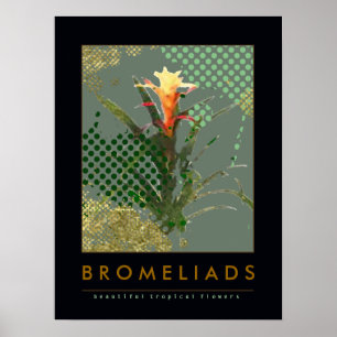 Sugerencia de decoración de arte en bromelias