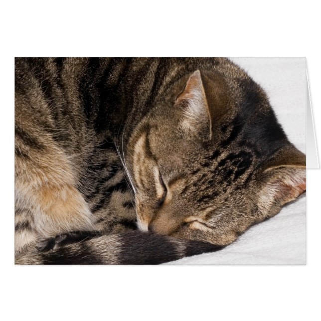 Suki (Anverso (Horizontal))