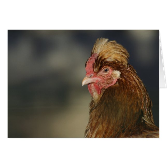 Sulmtaler (Anverso (Horizontal))