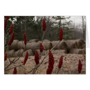 Sumac y heno