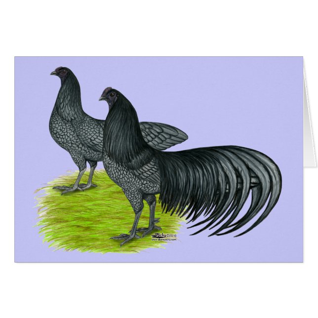 Sumatra:  Pares azules (Anverso (Horizontal))