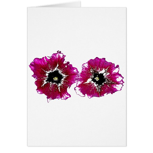 Summer Petunias (Frente)