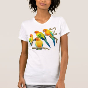 Sun Conure repite mecánicamente la camiseta del
