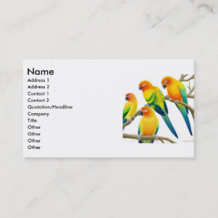 Sun Conure repite mecánicamente la tarjeta de