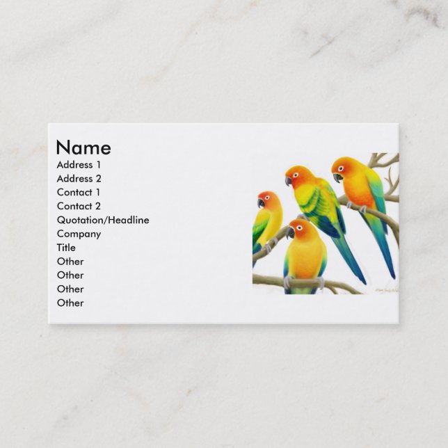 Sun Conure repite mecánicamente la tarjeta de (Anverso)
