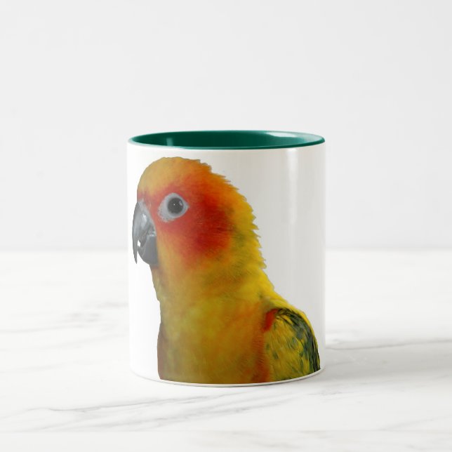 Sun Conure taza de 15 onzas (Centro)