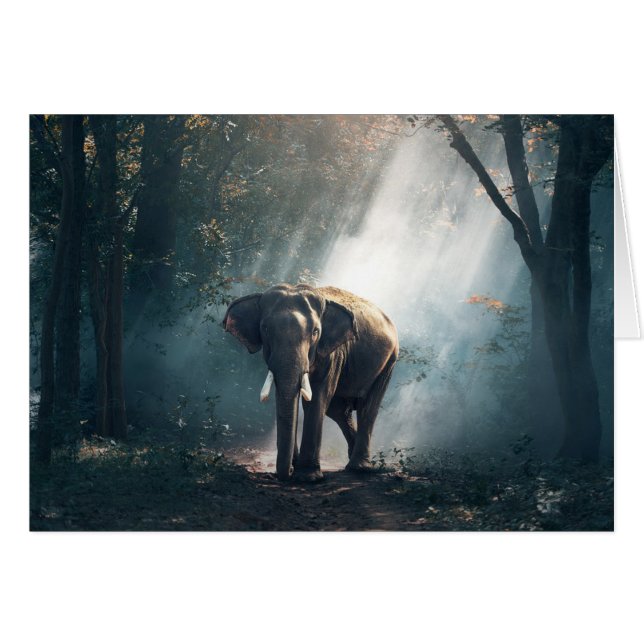 Sun frotó ligeramente el elefante en tarjeta en (Anverso (Horizontal))