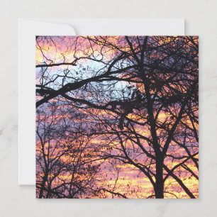 Sun Rise