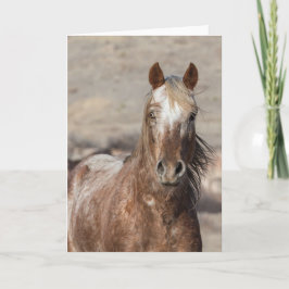 Sundance - Tarjeta de felicitación Galloping para