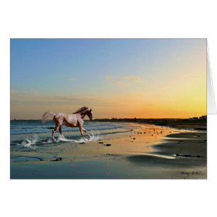 Sunderland - playa de Seaburn