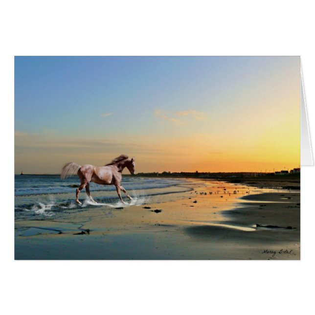 Sunderland - playa de Seaburn (Anverso (Horizontal))