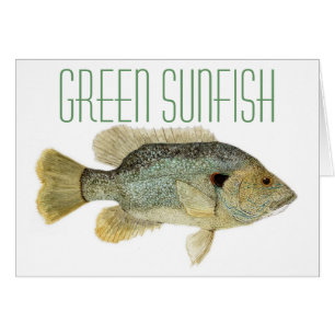 Sunfish verde