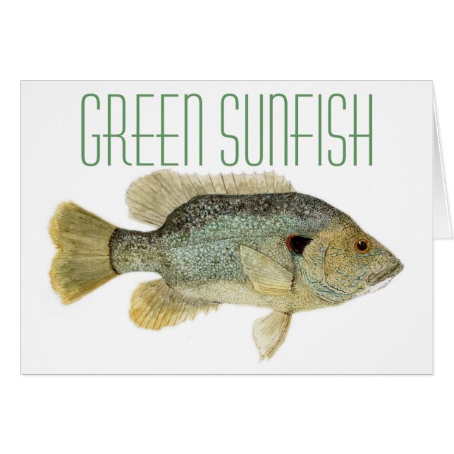 Sunfish verde (Anverso (Horizontal))
