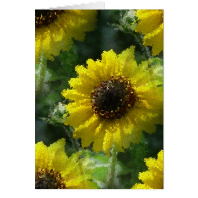 Sunflower (Frente)