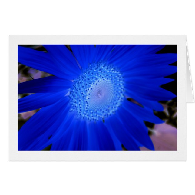 Sunflower (Anverso (Horizontal))