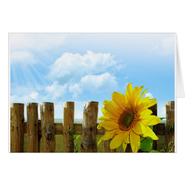 Sunflower (Anverso (Horizontal))