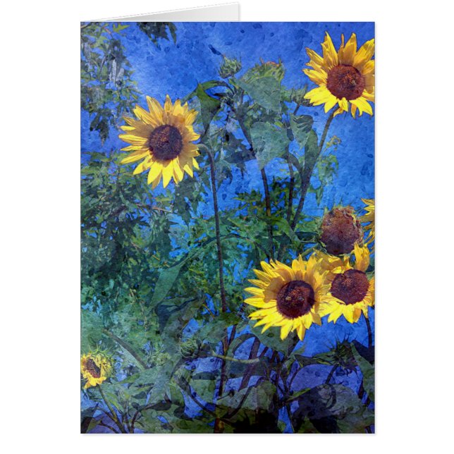 Sunflower (Frente)