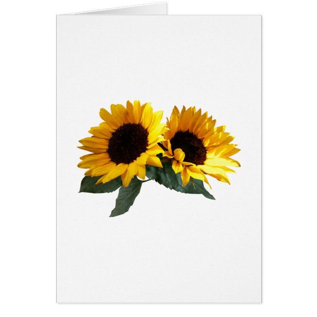 Sunflower (Frente)