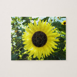 Sunflower Puzzle