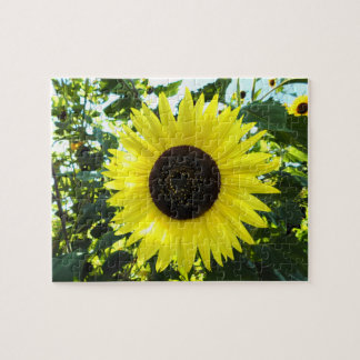 Sunflower Puzzle