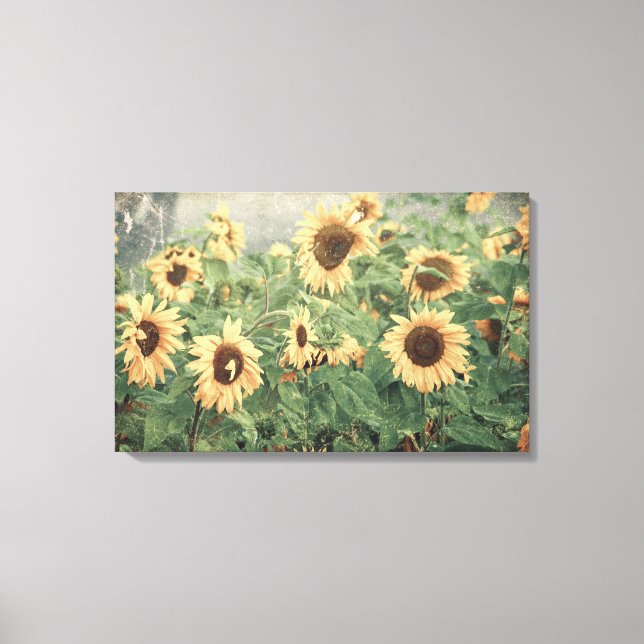 Sunflowers Amarillo Vintage Textura Floral Arte (Anverso)