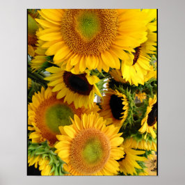 Sunflowers Happy Yellows Poster Wall Decoración