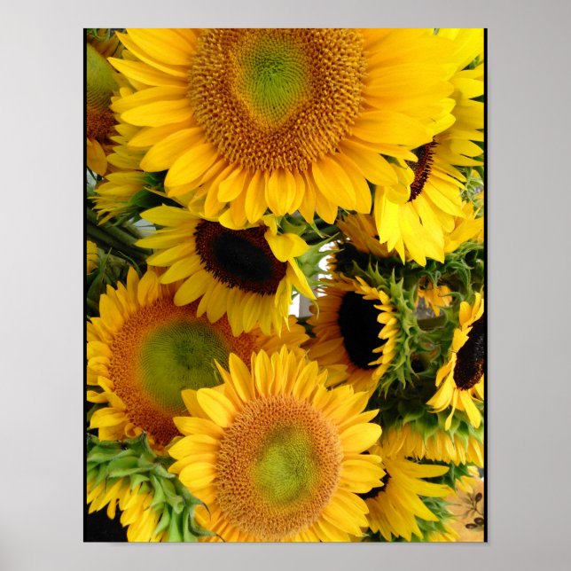 Sunflowers Happy Yellows Poster Wall Decoración (Frente)