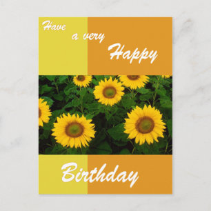 Sunflowers - Tarjeta postal de cumpleaños feliz