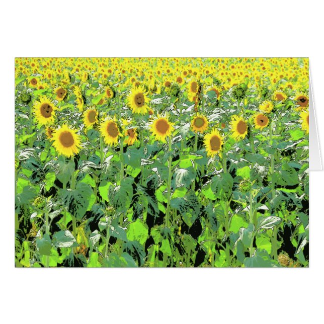 Sunnies (Anverso (Horizontal))